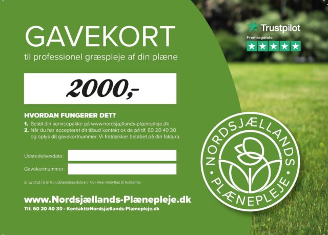 https://nordsjaellands-plaenepleje.dk/wp-content/uploads/2024/12/Gavekort_plaenepleje_1000kr_Side_4-scaled-e1733312290316-640x458.jpg